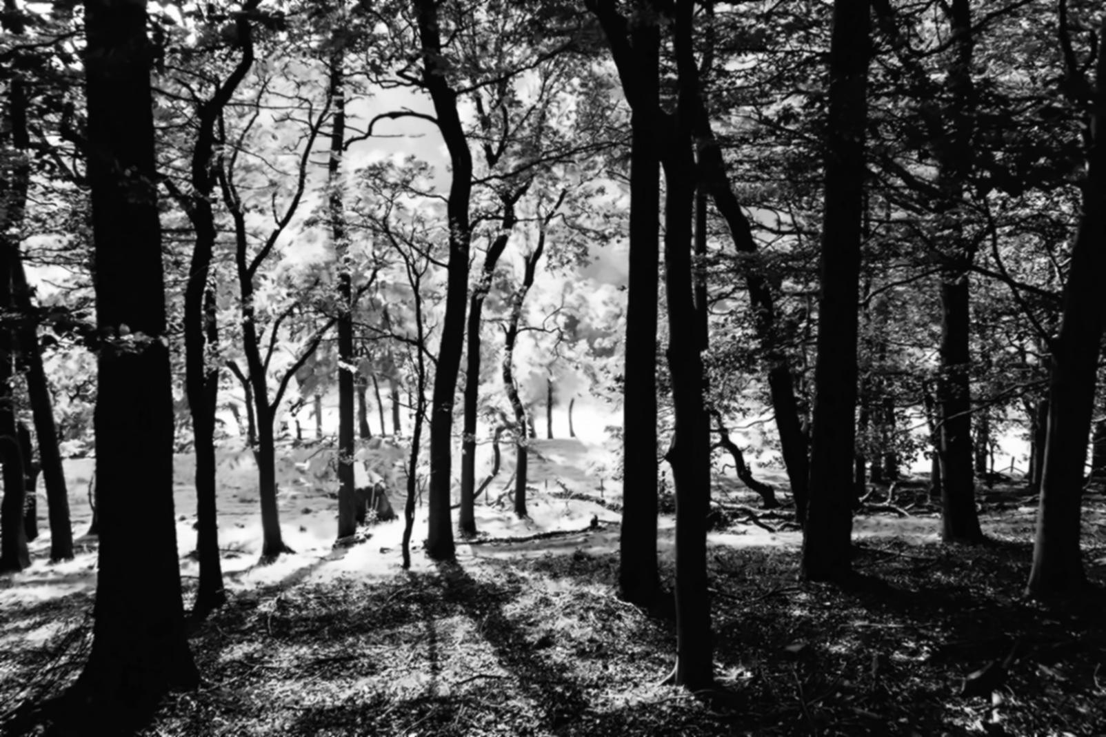 Environmental monitoring analysis and data interpretation