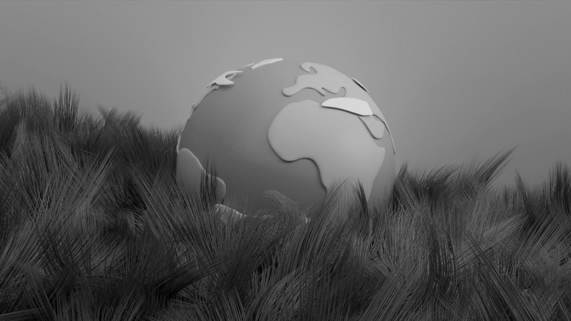 Environmental monitoring equipment and field assessment setup