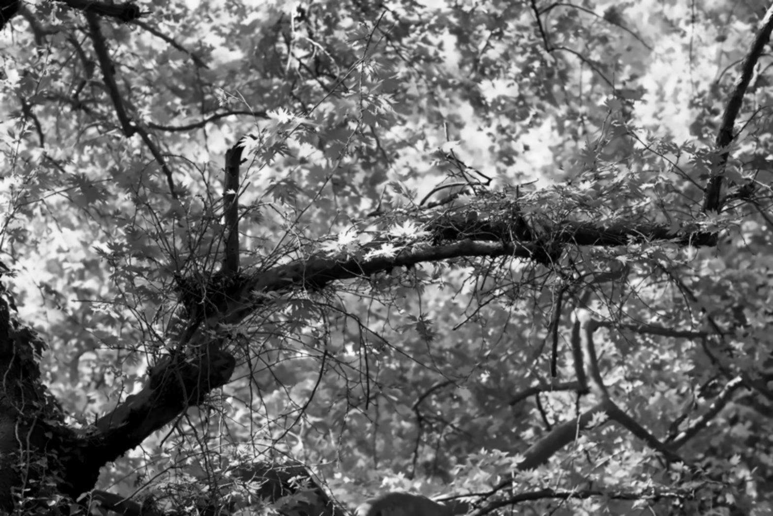 Monitoring equipment setup and calibration process